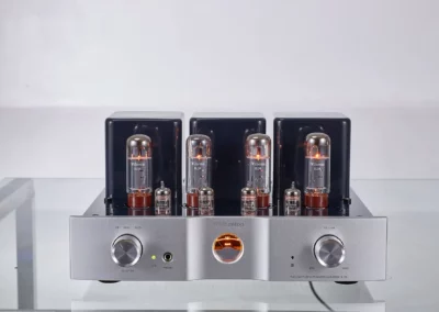 willsenton r 35i blue 1 7 Willsenton Audio
