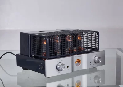willsenton r 35i blue 2 31 Willsenton Audio
