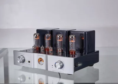 willsenton r 35i blue 4 46 Willsenton Audio