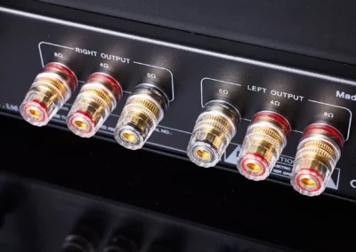willsenton r200 5881 black 15 51 Willsenton Audio