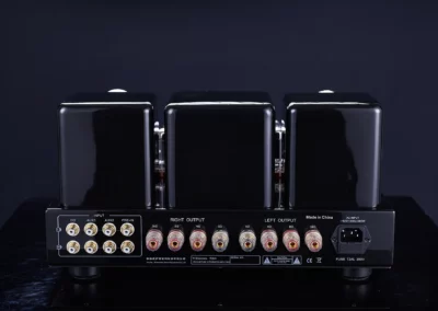 willsenton r300 plus black 1 23 Willsenton Audio