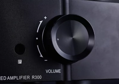 willsenton r300 plus black 6 53 Willsenton Audio