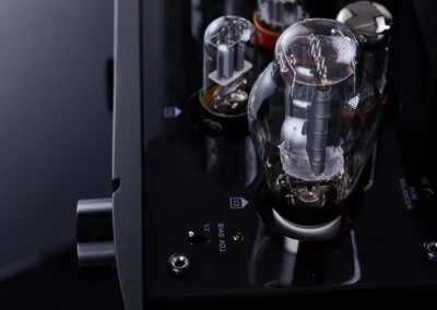 willsenton r300 plus black 8 49 Willsenton Audio