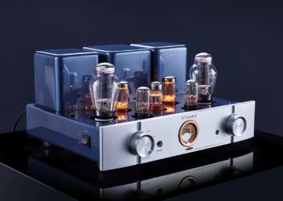 willsenton r300 plus silver 1 49 Willsenton Audio