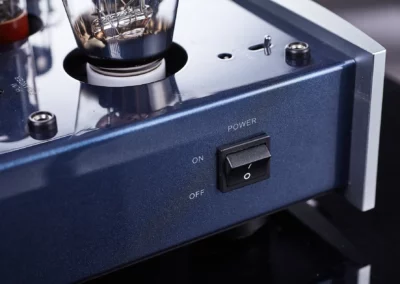 willsenton r300 plus silver 11 59 Willsenton Audio