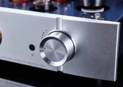willsenton r300 plus silver 13 61 Willsenton Audio