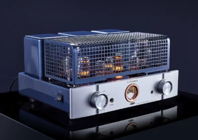 willsenton r300 plus silver 2 25 Willsenton Audio