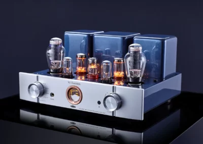 willsenton r300 plus silver 4 35 Willsenton Audio