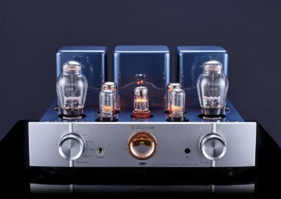 willsenton r300 plus silver 5 65 Willsenton Audio