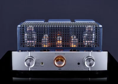 willsenton r300 plus silver 6 51 Willsenton Audio