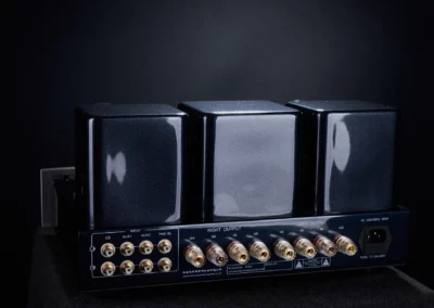 willsenton r300 plus silver 7 31 Willsenton Audio