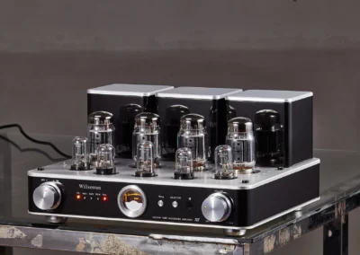 willsenton r8 6550eh silver 5 41 Willsenton Audio