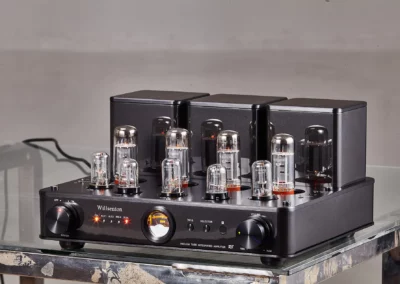 willsenton r8 el34 black 1 29 Willsenton Audio