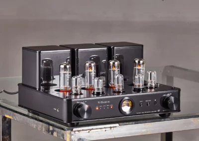 willsenton r8 el34 black 5 31 Willsenton Audio