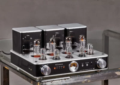 willsenton r8 el34 silver 2 49 Willsenton Audio