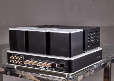 willsenton r8 kt88 silver 14 87 Willsenton Audio