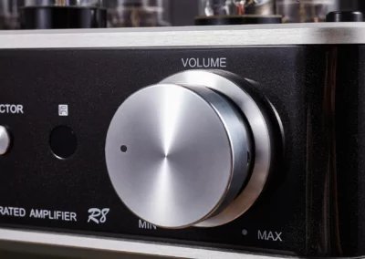 willsenton r8 kt88 silver 7 59 Willsenton Audio