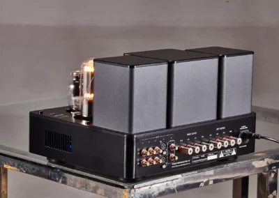 willsenton r800i 805 black 10 33 Willsenton Audio