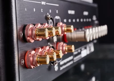 willsenton r800i 805 black 12 55 Willsenton Audio